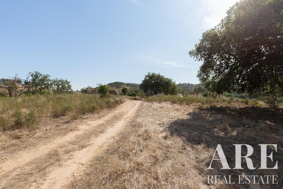 Lote de terreno à venda em Santiago do Cacem - Image 7