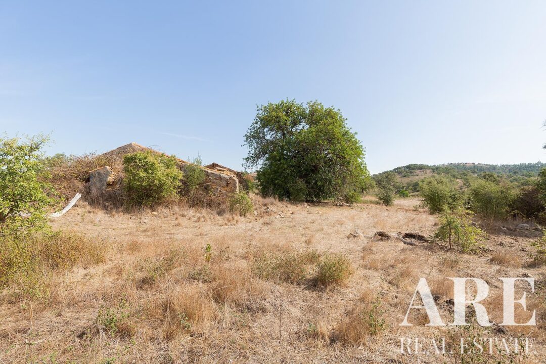 Lote de terreno à venda em Santiago do Cacem - Image 8