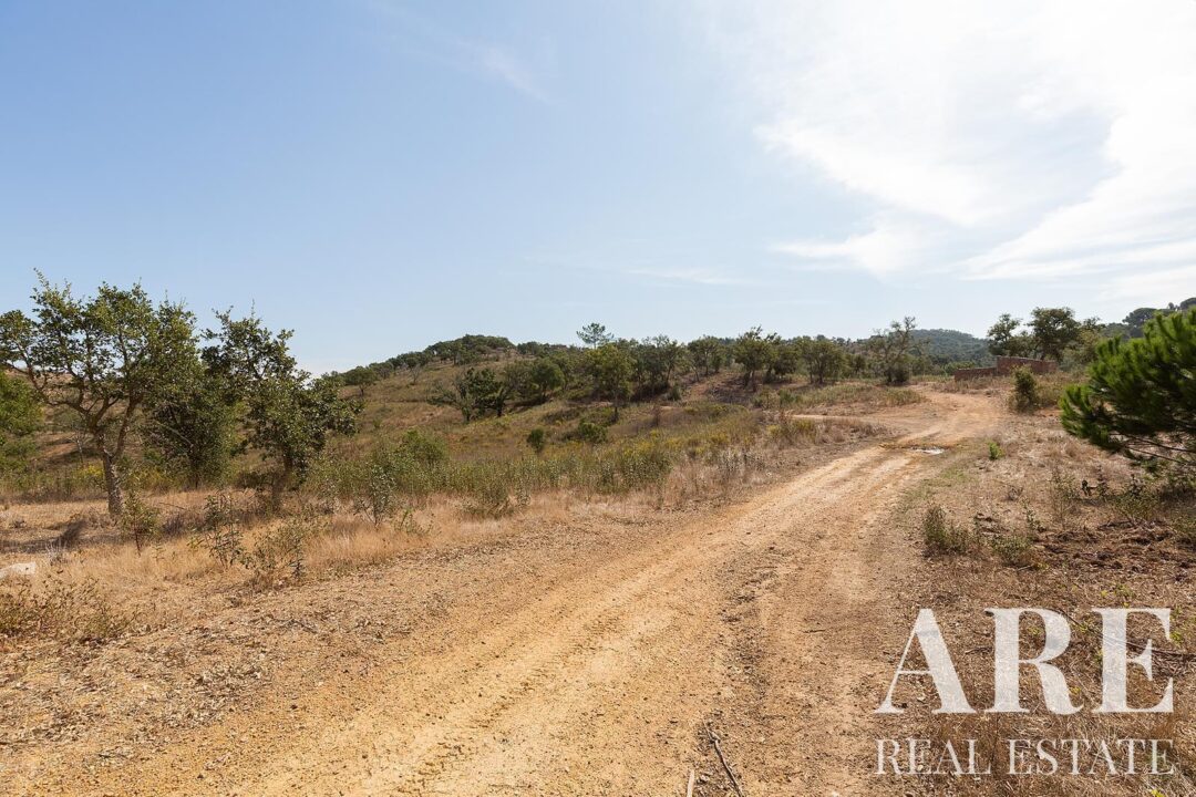 Lote de terreno à venda em Santiago do Cacem - Image 11