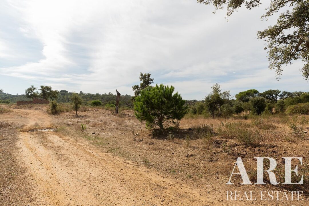 Lote de terreno à venda em Santiago do Cacem - Image 12