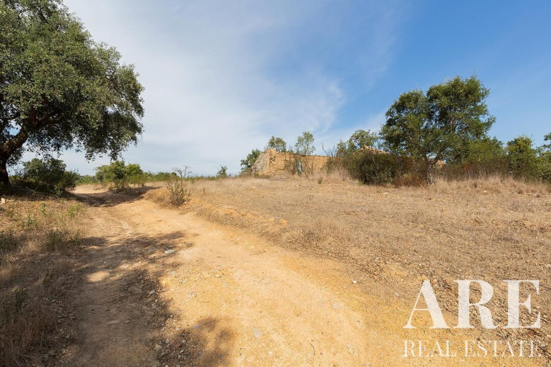 Lote de terreno à venda em Santiago do Cacem - Image 20
