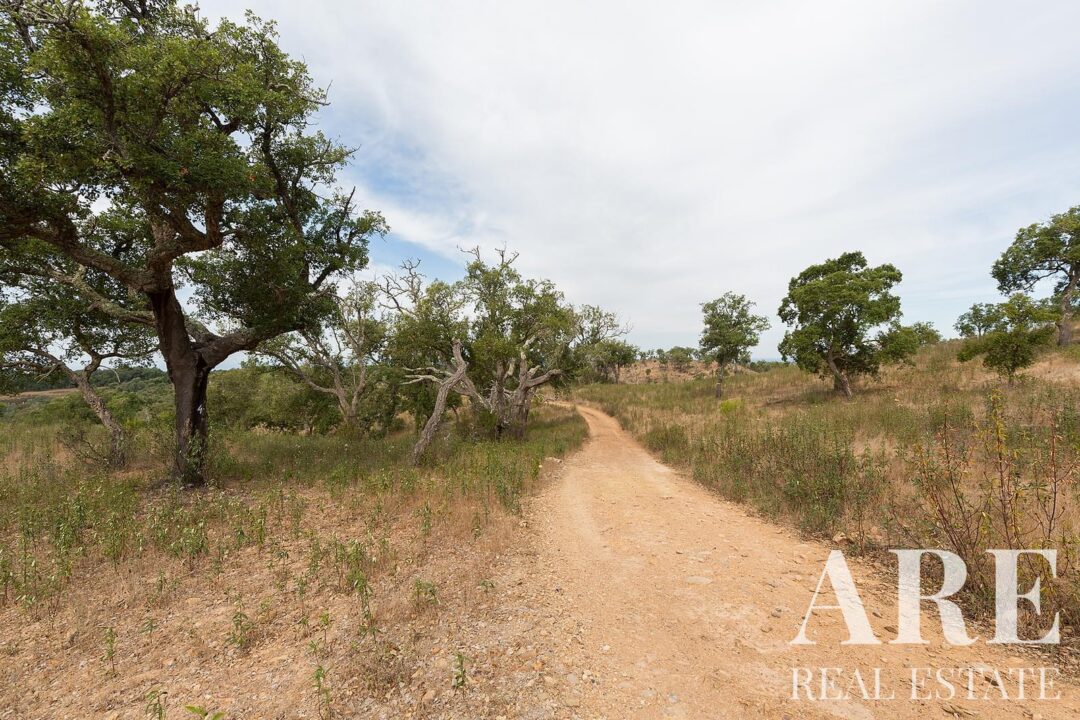 Lote de terreno à venda em Santiago do Cacem - Image 4