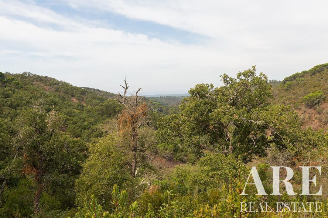 Lote de terreno à venda em Santiago do Cacem - Image 7