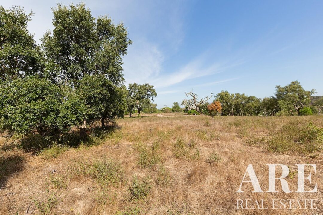 Lote de terreno à venda em Santiago do Cacem - Image 10