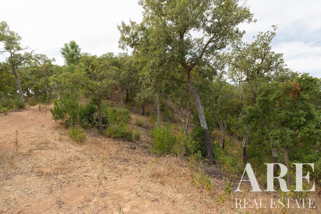 Lote de terreno à venda em Santiago do Cacem - Image 11