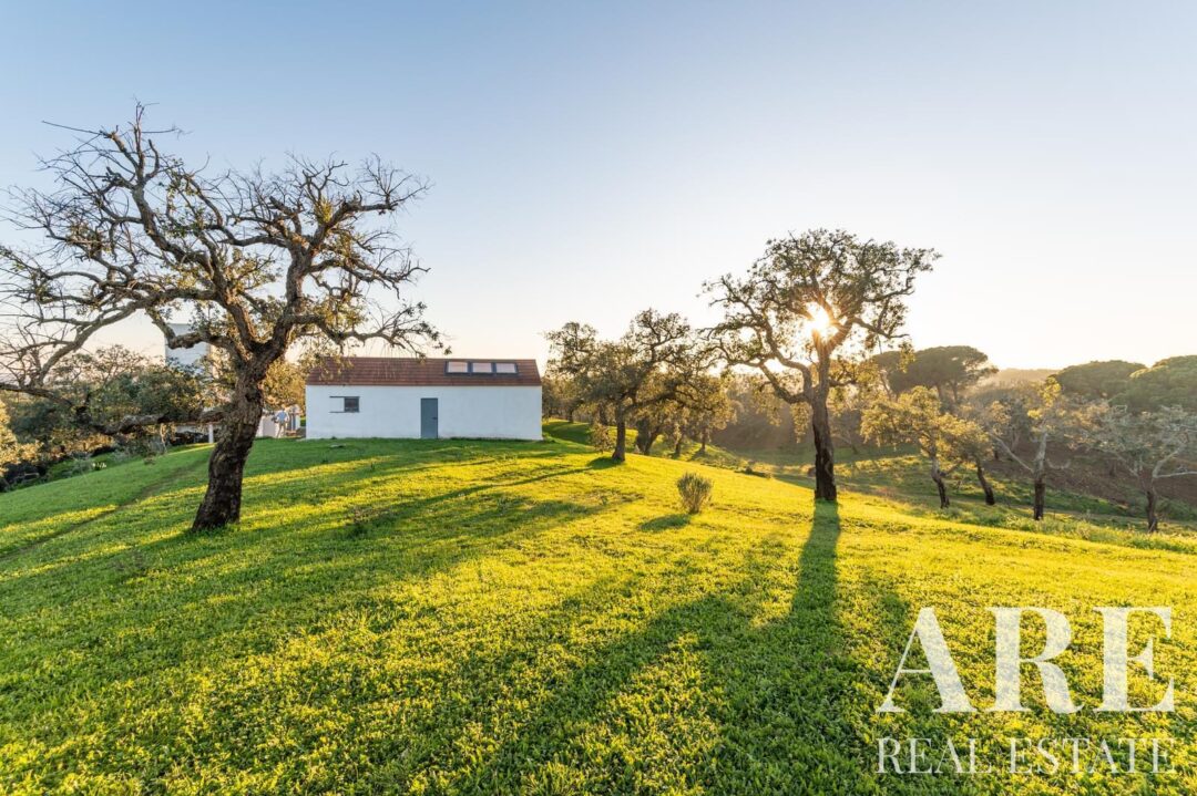 Casa de Fazenda à venda em São Francisco da Serra, Santiago do Cacem - Image 32