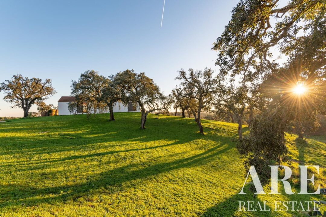 Casa de Fazenda à venda em São Francisco da Serra, Santiago do Cacem - Image 39