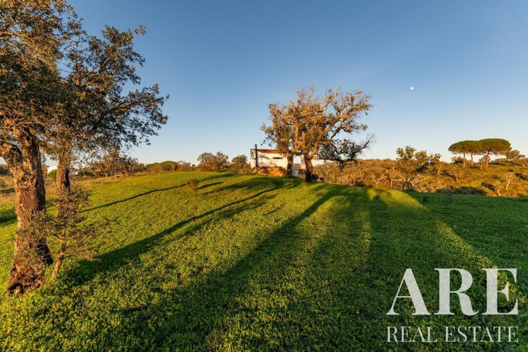 Casa de Fazenda à venda em São Francisco da Serra, Santiago do Cacem - Image 40