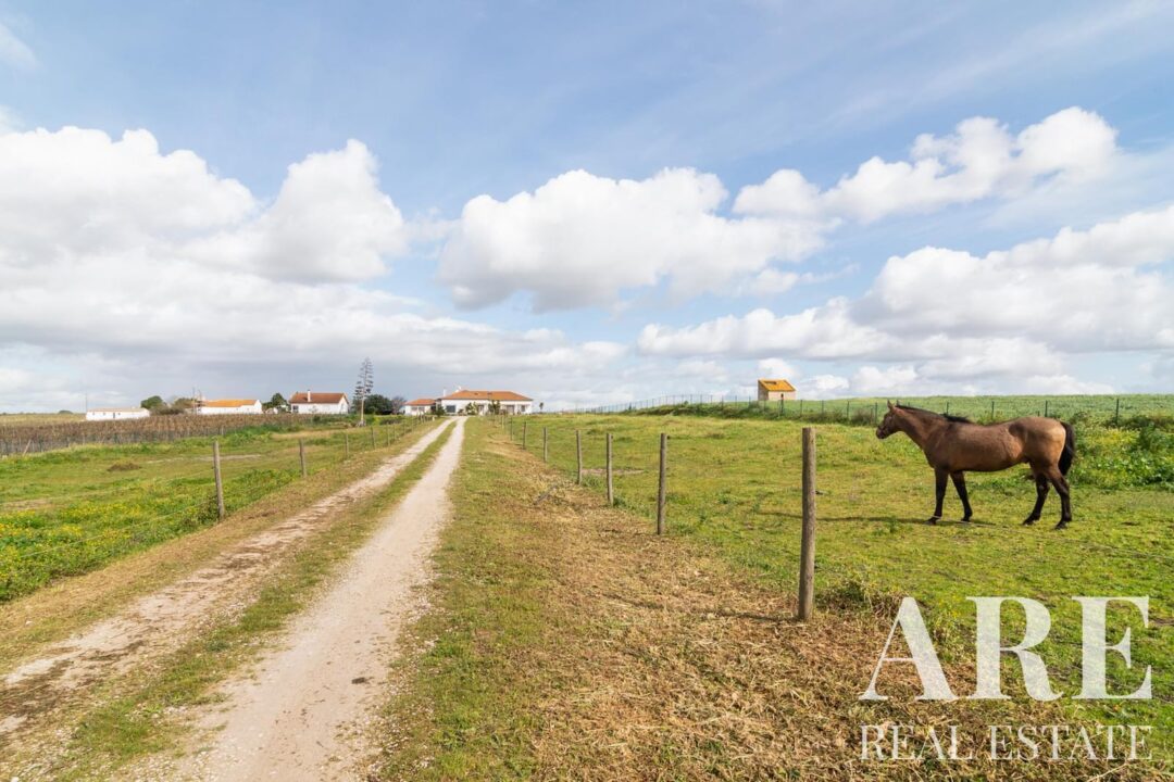 Moradia à venda em Palmela - Image 6