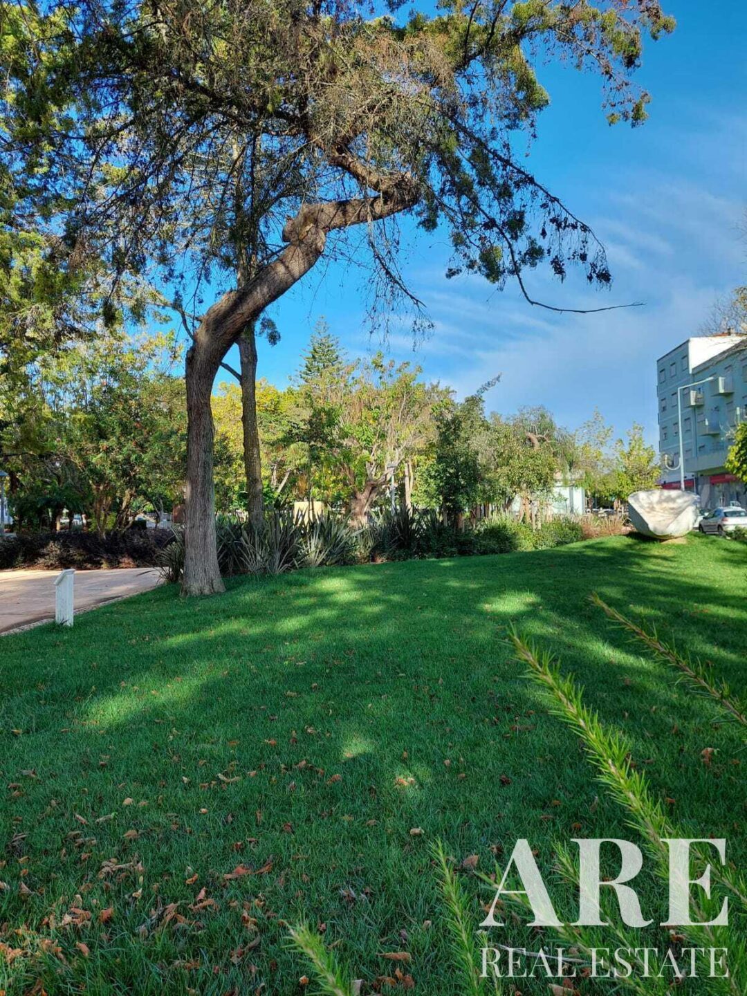Villa à vendre à  Grandola – Image 24