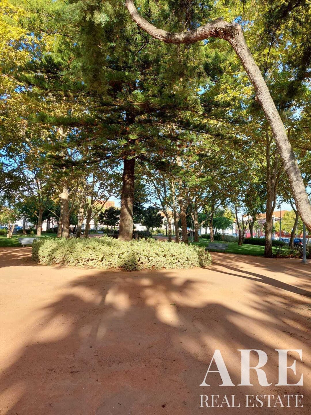 Villa à vendre à  Grandola – Image 27