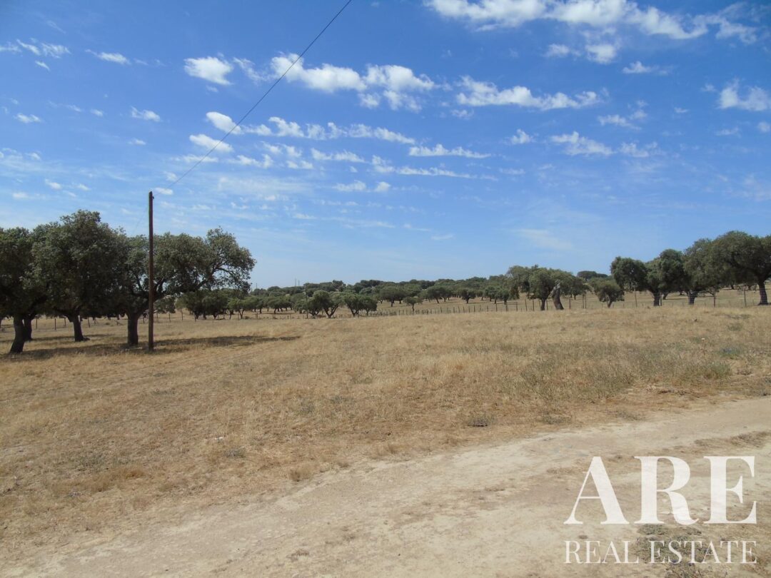 Casa de Fazenda à venda em Elvas - Image 70