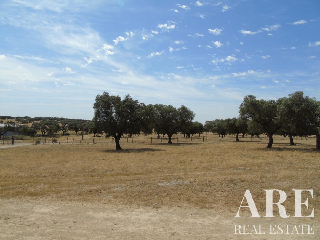 Casa de Fazenda à venda em Elvas - Image 71