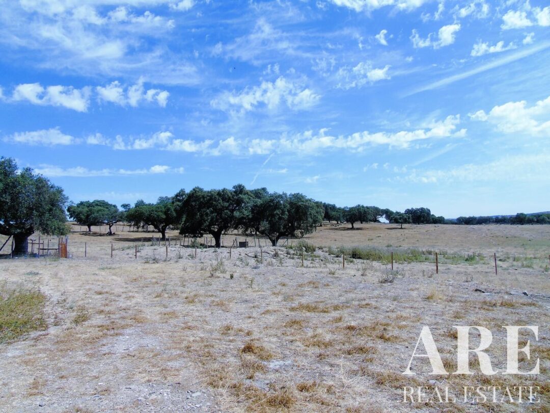 Casa de Fazenda à venda em Elvas - Image 73