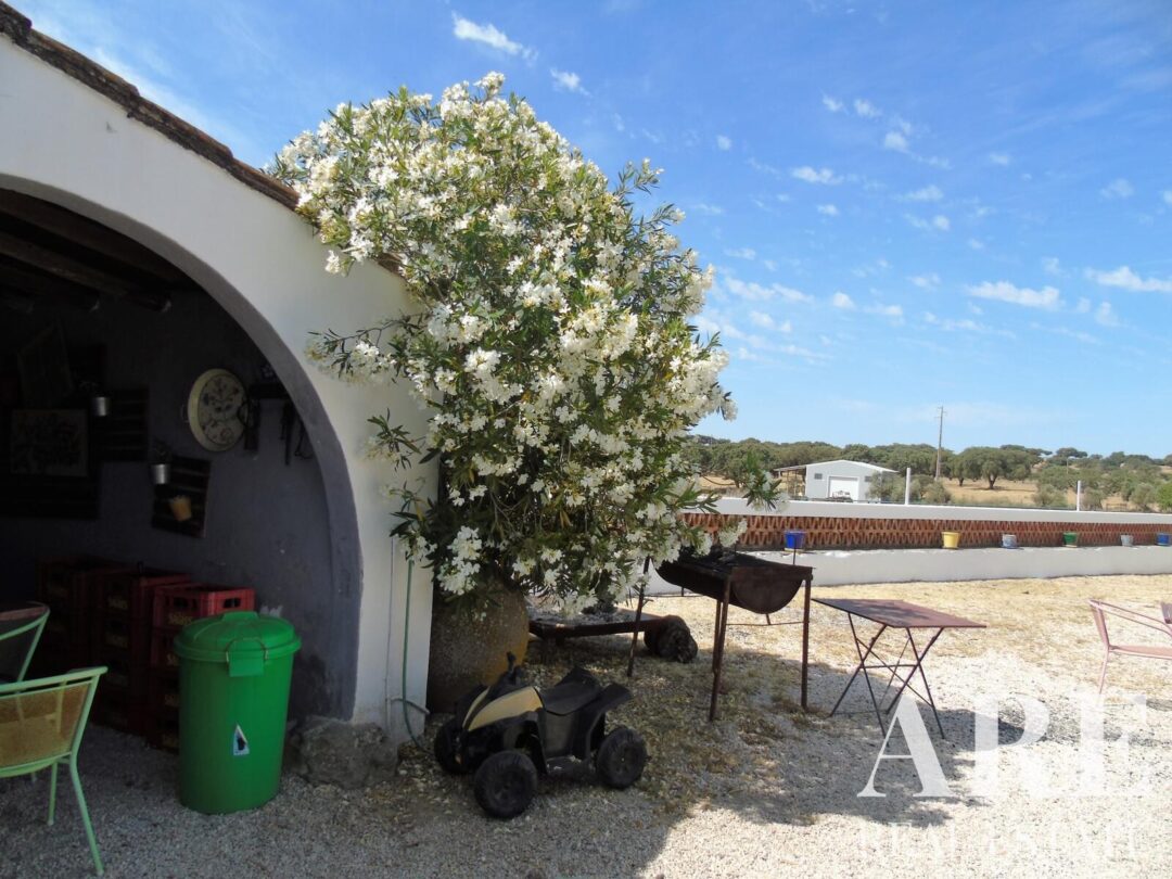 Casa de Fazenda à venda em Elvas - Image 78