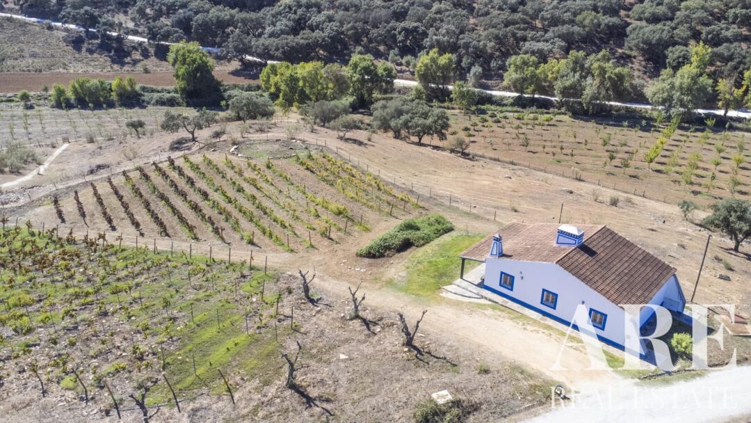 Maison de Ferme à vendre à  Ciladas, Vila Viçosa – Image 88