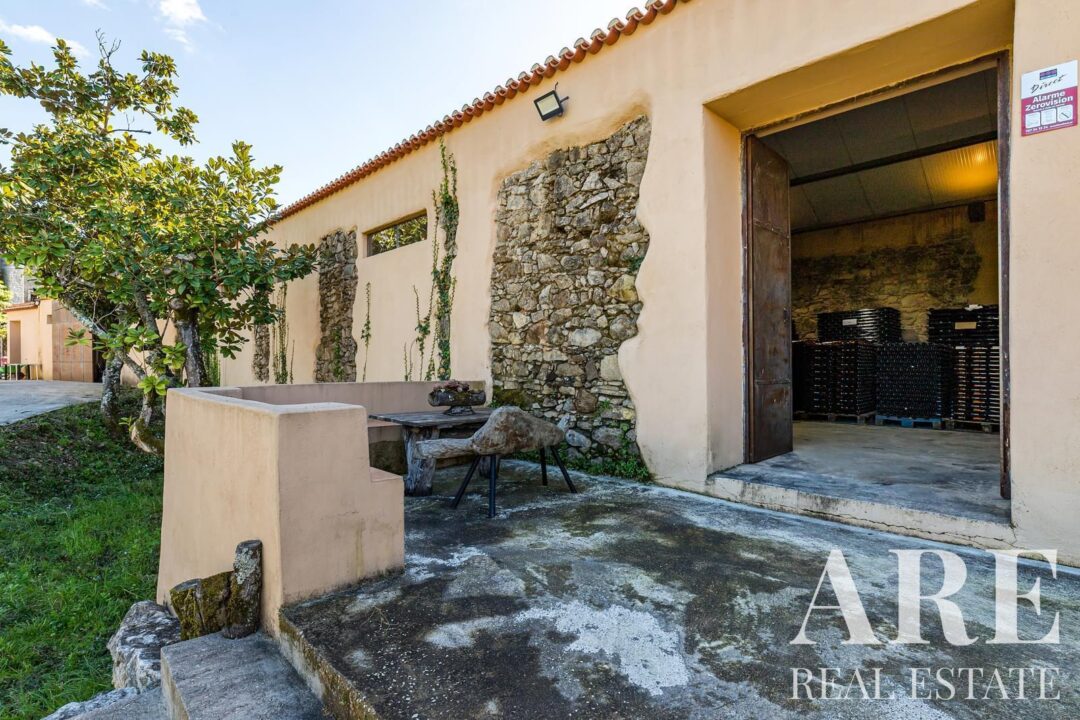 Casa de Fazenda à venda em Torres Vedras - Image 6