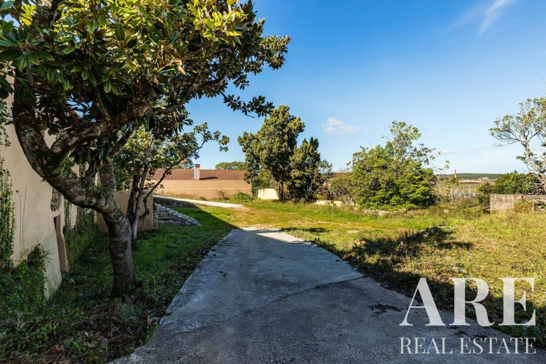 Casa de Fazenda à venda em Torres Vedras - Image 14