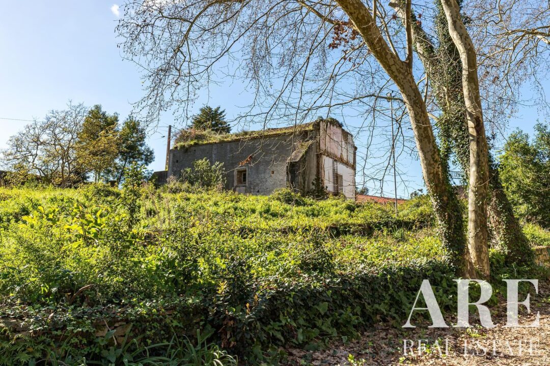 Casa de Fazenda à venda em Torres Vedras - Image 20