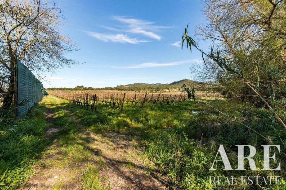 Casa de Fazenda à venda em Torres Vedras - Image 21