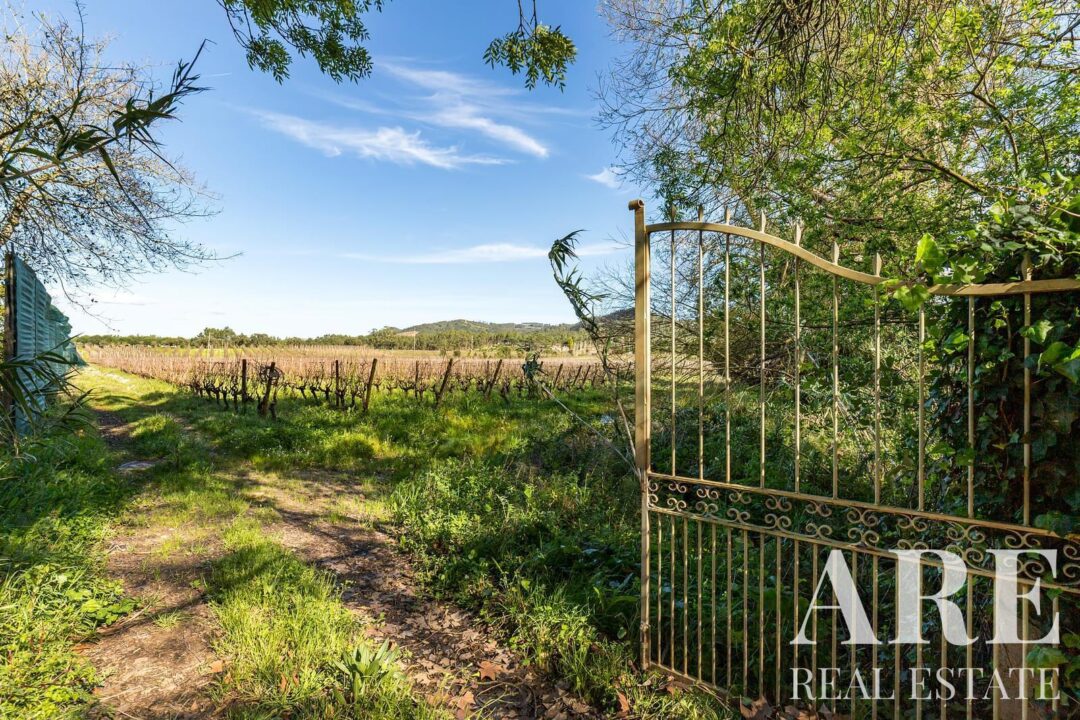 Casa de Fazenda à venda em Torres Vedras - Image 22