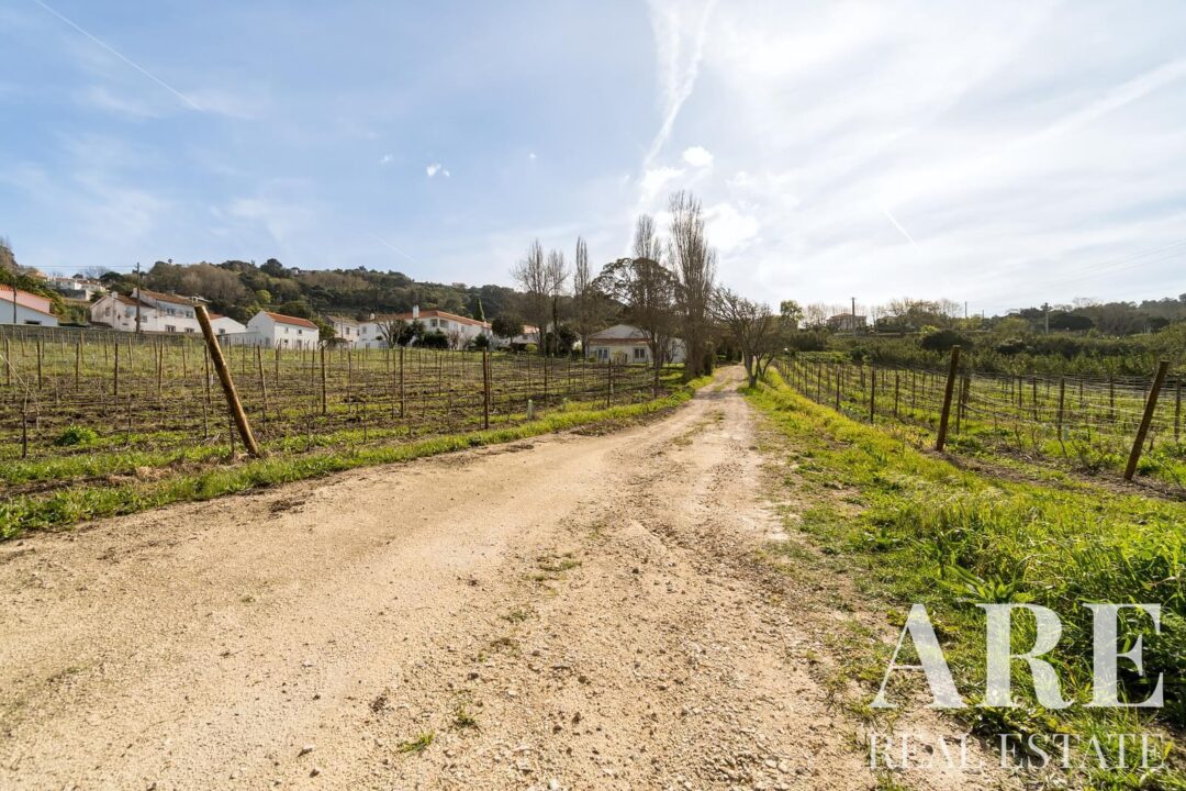 Farmhouse for sale in Colares, Sintra