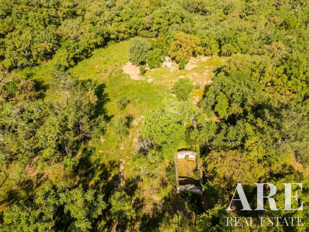 Parcela en venta en Santa Cruz, Santiago do Cacem 70 Plot for sale in Santa Cruz, Santiago do Cacem