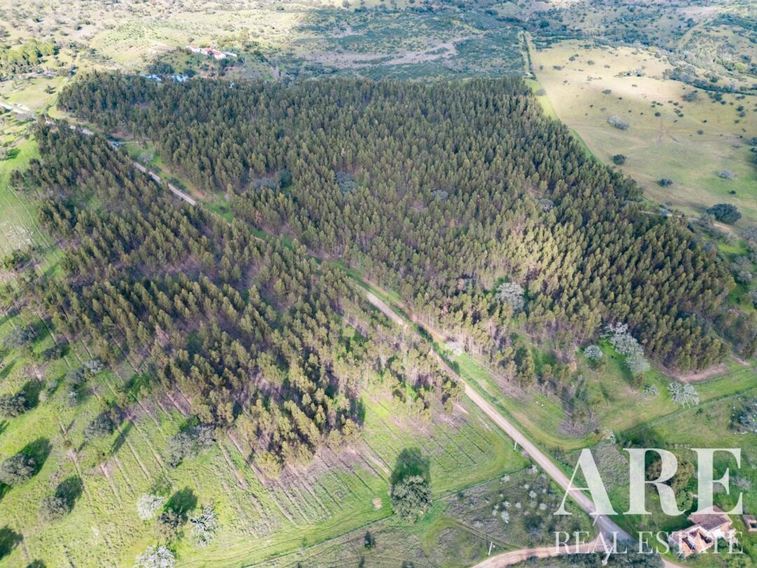 Parcela en venta en Azinheira dos Barros, Grandola 4 Plot for sale in Azinheira dos Barros, Grandola
