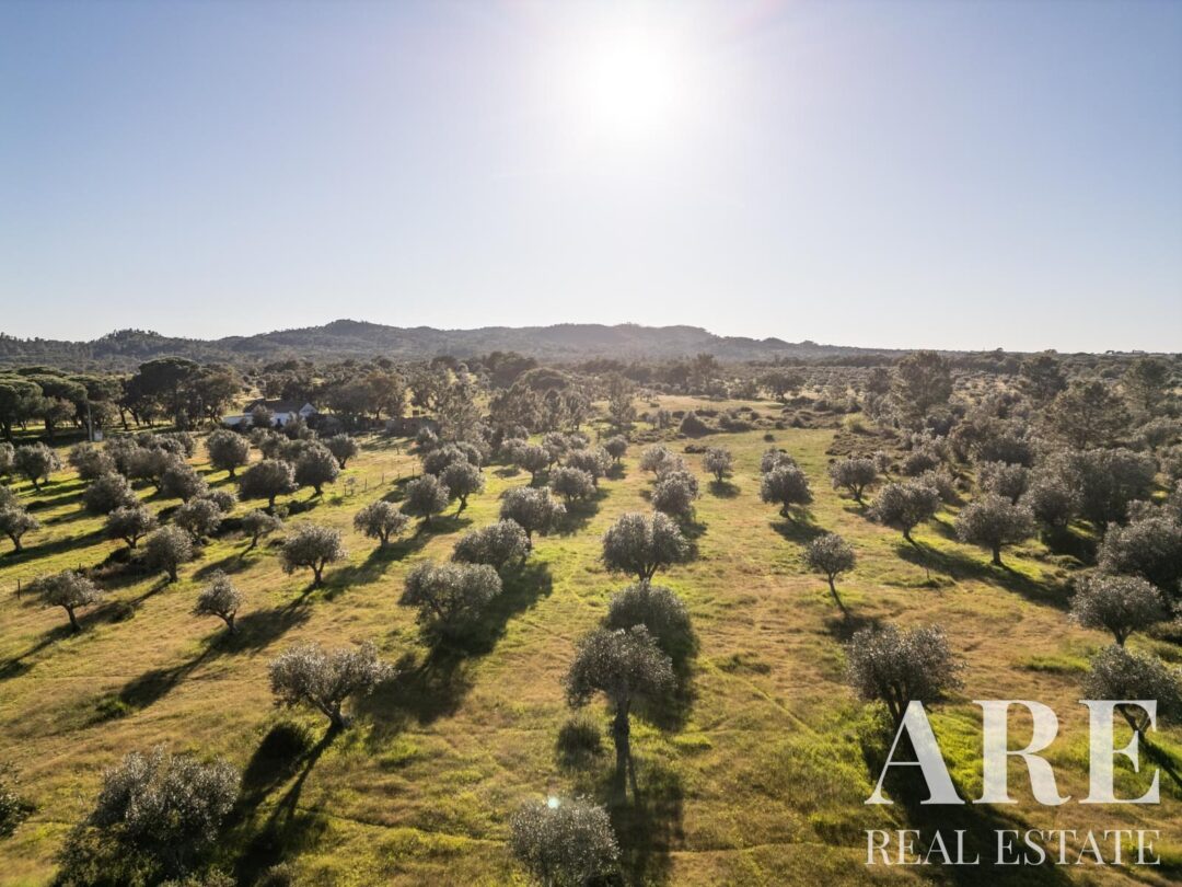 Parcela en venta en Grandola 86 Plot for sale in Grandola