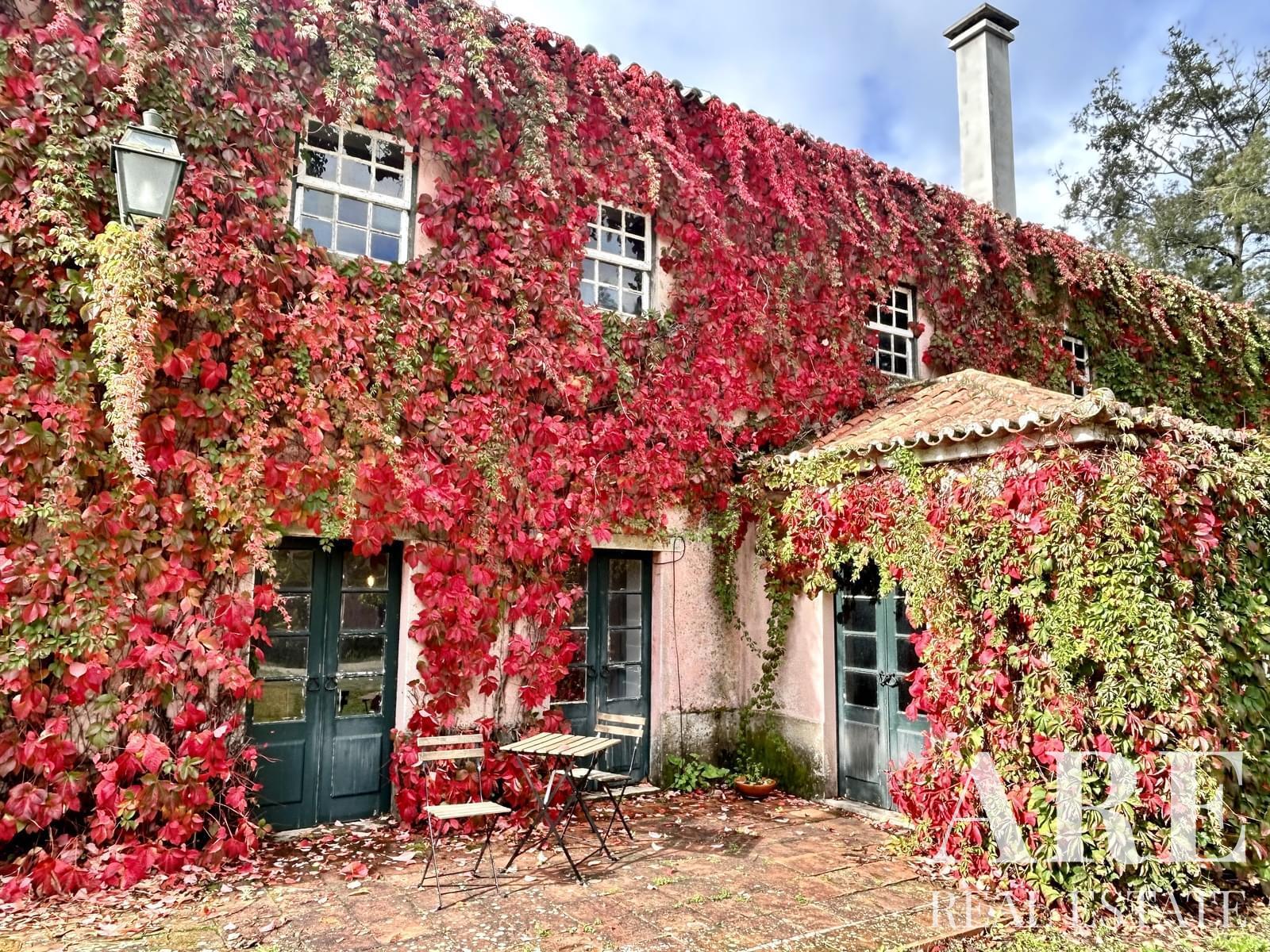 Farmhouse for sale in Torres Vedras