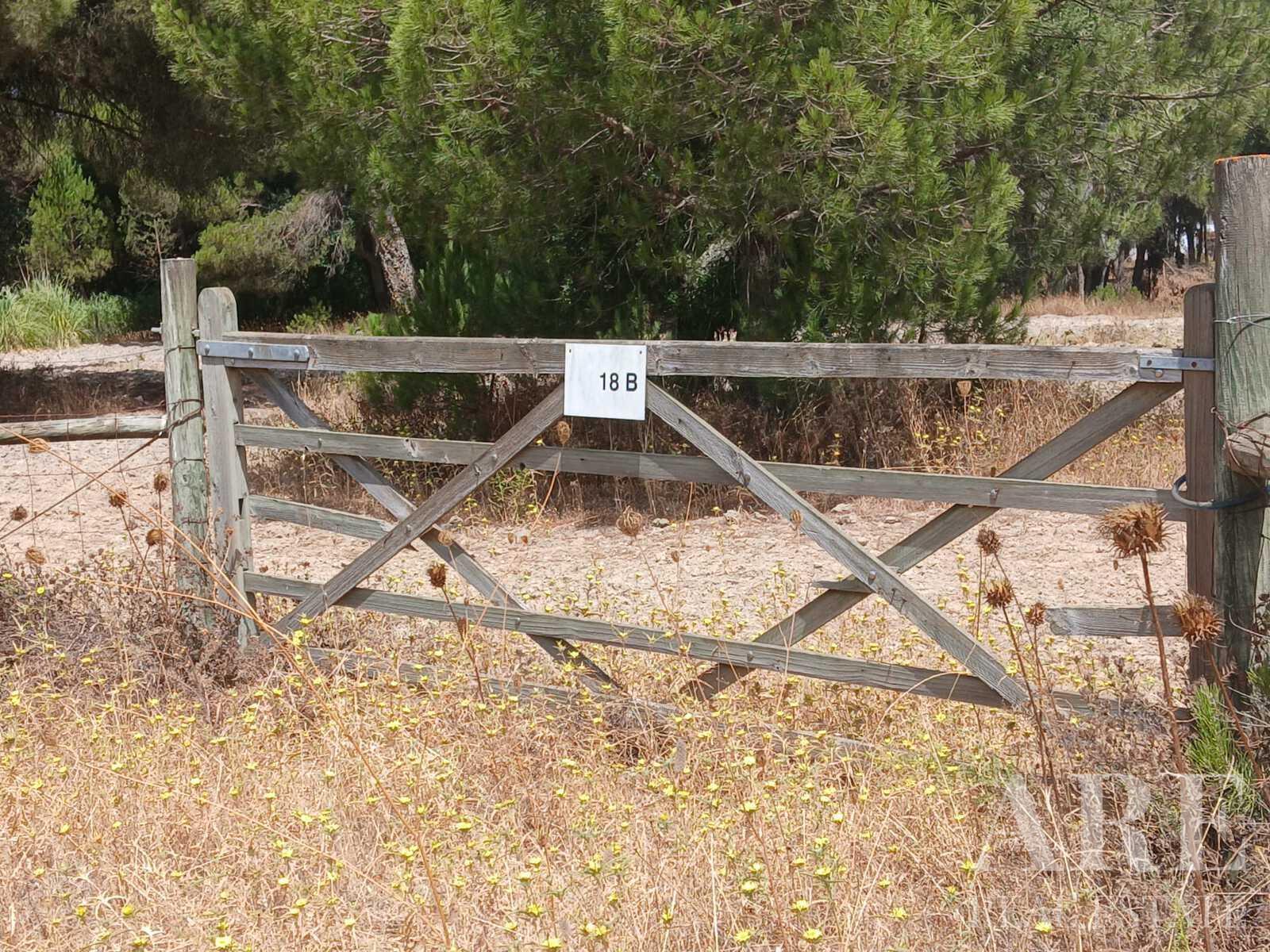 Plot for sale in Santo Estevão, Benavente 61 Plot for sale in Santo Estevão, Benavente