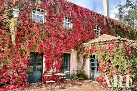 Casa de Fazenda à venda em Torres Vedras
