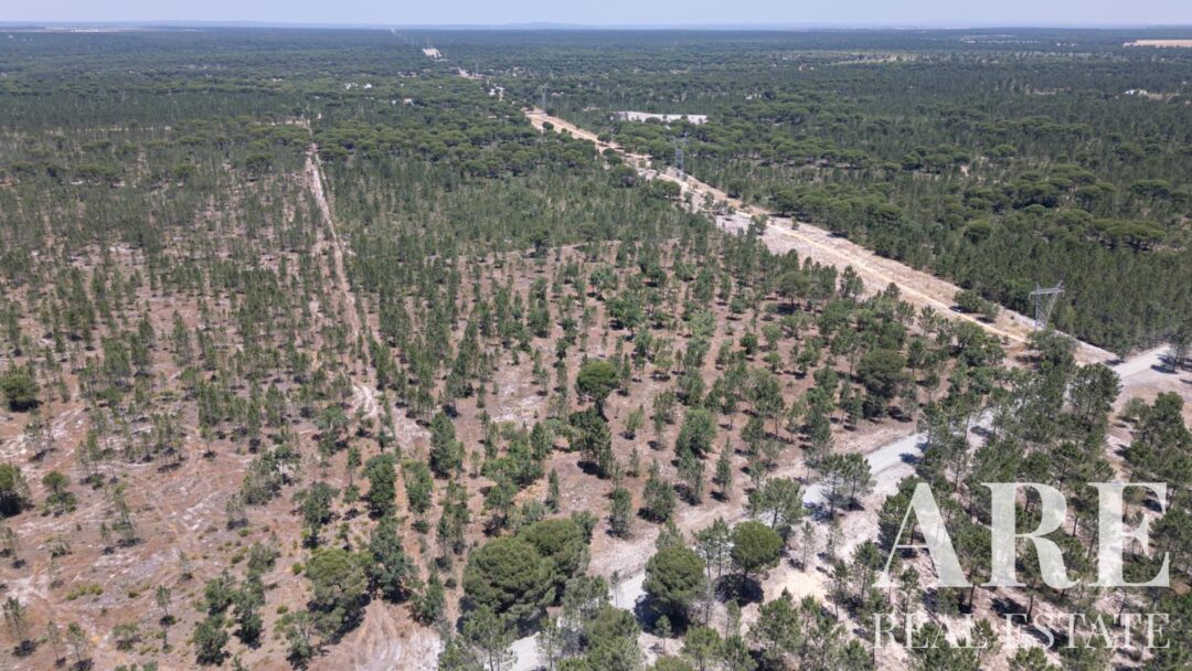 Lote de terreno à venda em Muda, Grandola Lote de terreno à venda em Muda, Grandola