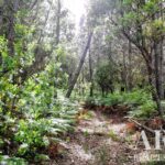 Quinta 5 quartos à venda em Penha, Portalegre • ARE27346 - gallery image