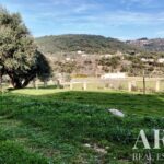 Quinta 5 quartos à venda em Penha, Portalegre • ARE27346 - gallery image