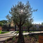 Moradia 4 quartos à venda em Boutique Vilas, Guia, Cascais, Lisbon - gallery image