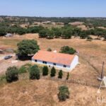 Quinta 3 quartos à venda em São Francisco da Serra, Santiago do Cacem, Setubal • ARE37371 - gallery image