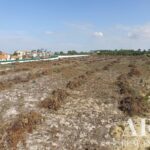 Terreno à venda em Praia de Santa Cruz, Torres Vedras, Lisbon &bull; ARE36610 - gallery image
