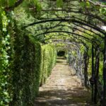 Quinta 8 quartos à venda em Miranda do Corvo, Coimbra - gallery image