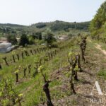 Quinta 8 quartos à venda em Miranda do Corvo, Coimbra - gallery image