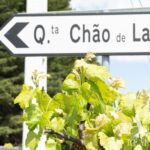 Quinta 8 quartos à venda em Miranda do Corvo, Coimbra - gallery image