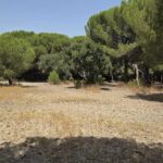 Terreno à venda em Santo Estevão, Benavente, Santarem - gallery image