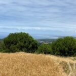 Terreno à venda em Sesimbra, Setubal &bull; ARE37193 - gallery image