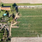 Quinta 3 quartos à venda em Almeirim, Santarem - gallery image