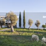 Quinta 9 quartos à venda em Arraiolos, Évora - gallery image