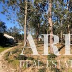 Terreno à venda em Pombal, Leiria - gallery image