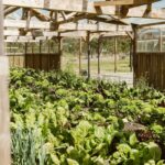 Apartamento 1 quarto à venda em Craveiral Farmhouse, São Teotónio, Odemira, Beja - gallery image