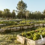 Apartamento 1 quarto à venda em Craveiral Farmhouse, São Teotónio, Odemira, Beja - gallery image