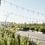 Apartamento 1 quarto à venda em Craveiral Farmhouse, São Teotónio, Odemira, Beja - gallery image