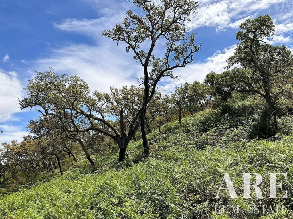 Quinta Estúdio à venda em Colos, Odemira, Beja